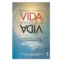 Vida después de la vida